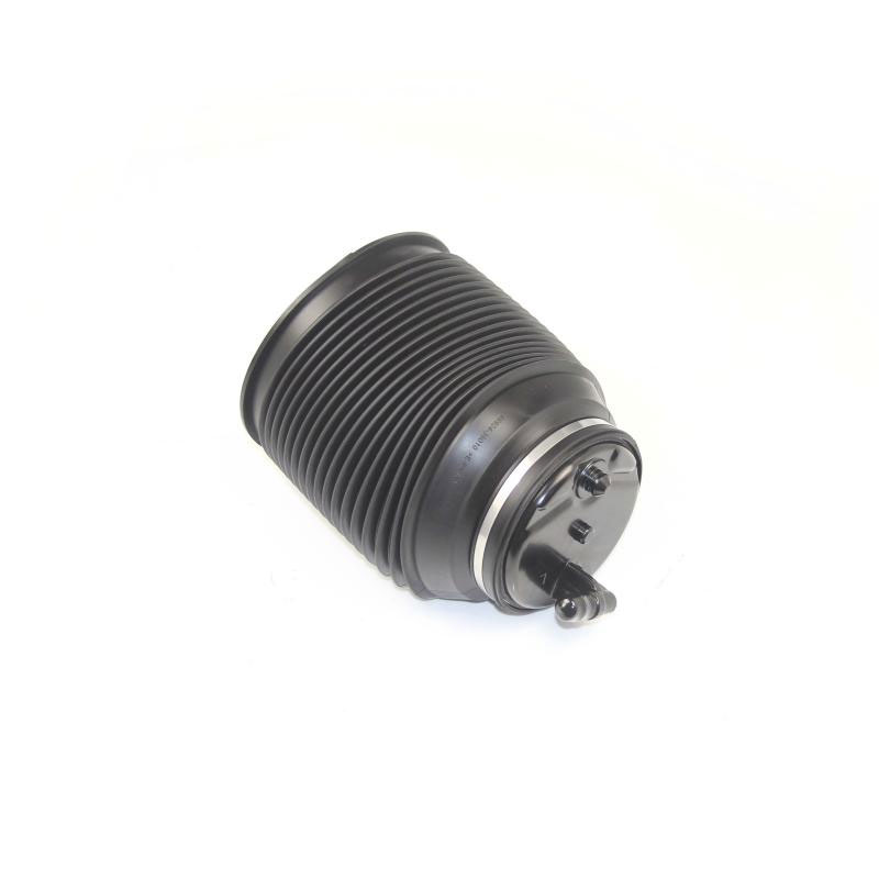 Automobile Rear Air Spring