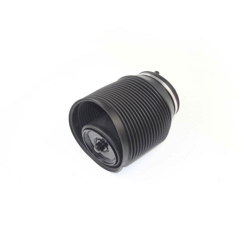 Automobile Rear Air Spring