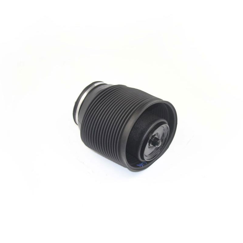 Automobile Rear Air Spring